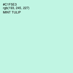 #C1F5E3 - Mint Tulip Color Image