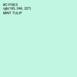 #C1F6E3 - Mint Tulip Color Image