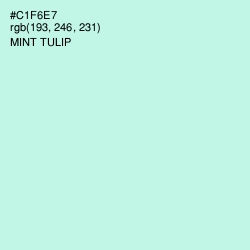 #C1F6E7 - Mint Tulip Color Image