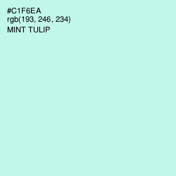 #C1F6EA - Mint Tulip Color Image