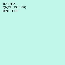 #C1F7EA - Mint Tulip Color Image