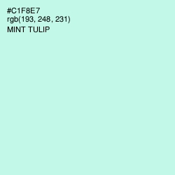 #C1F8E7 - Mint Tulip Color Image
