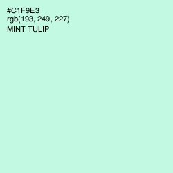 #C1F9E3 - Mint Tulip Color Image