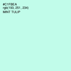 #C1FBEA - Mint Tulip Color Image