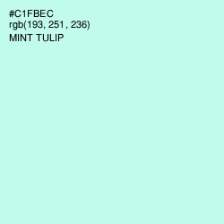 #C1FBEC - Mint Tulip Color Image