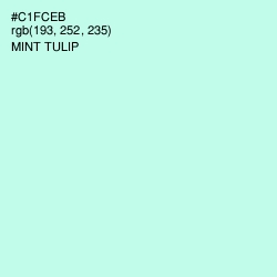 #C1FCEB - Mint Tulip Color Image