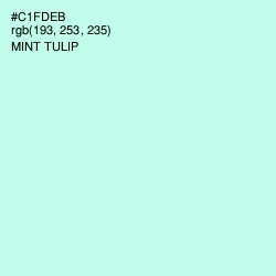 #C1FDEB - Mint Tulip Color Image