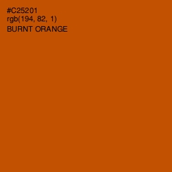 #C25201 - Burnt Orange Color Image