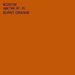 #C25706 - Burnt Orange Color Image