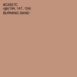 #C2937C - Burning Sand Color Image