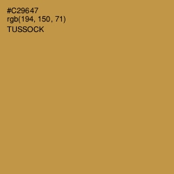 #C29647 - Tussock Color Image