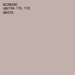 #C2B0AC - Bison Hide Color Image