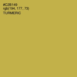 #C2B149 - Turmeric Color Image