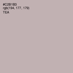 #C2B1B3 - Tea Color Image