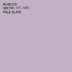#C2B1C5 - Pale Slate Color Image