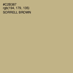 #C2B387 - Sorrell Brown Color Image