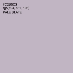 #C2B5C3 - Pale Slate Color Image