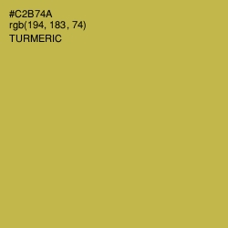 #C2B74A - Turmeric Color Image