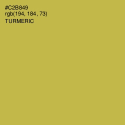 #C2B849 - Turmeric Color Image