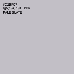 #C2BFC7 - Pale Slate Color Image