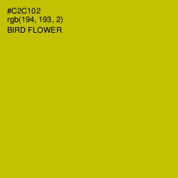 #C2C102 - Bird Flower Color Image