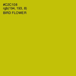 #C2C108 - Bird Flower Color Image