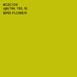 #C2C109 - Bird Flower Color Image