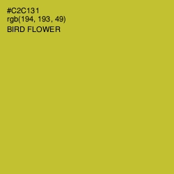 #C2C131 - Bird Flower Color Image