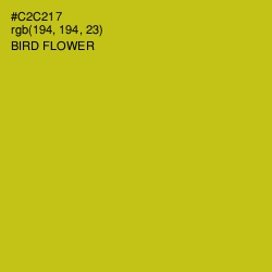 #C2C217 - Bird Flower Color Image