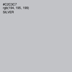 #C2C3C7 - Silver Color Image