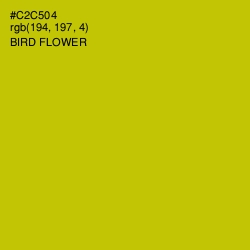 #C2C504 - Bird Flower Color Image