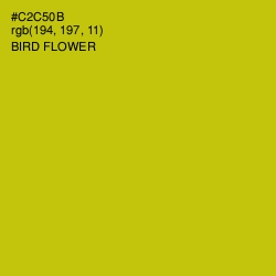 #C2C50B - Bird Flower Color Image