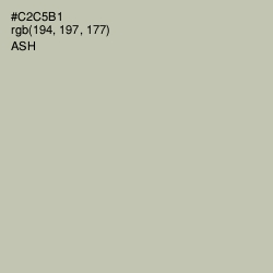 #C2C5B1 - Ash Color Image