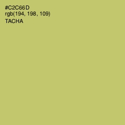 #C2C66D - Tacha Color Image