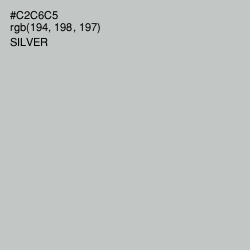 #C2C6C5 - Silver Color Image