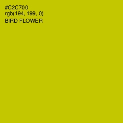 #C2C700 - Bird Flower Color Image