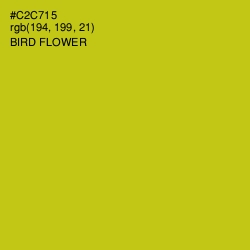 #C2C715 - Bird Flower Color Image