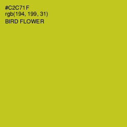 #C2C71F - Bird Flower Color Image