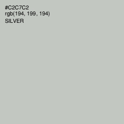 #C2C7C2 - Silver Color Image