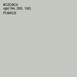 #C2C8C0 - Pumice Color Image