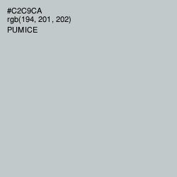 #C2C9CA - Pumice Color Image