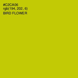 #C2CA06 - Bird Flower Color Image