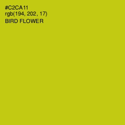 #C2CA11 - Bird Flower Color Image