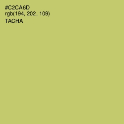 #C2CA6D - Tacha Color Image