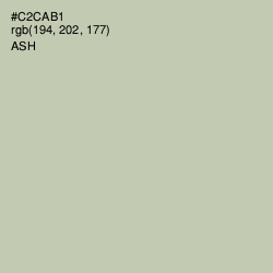#C2CAB1 - Ash Color Image