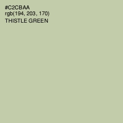 #C2CBAA - Thistle Green Color Image