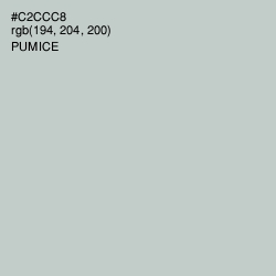 #C2CCC8 - Pumice Color Image