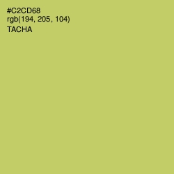 #C2CD68 - Tacha Color Image