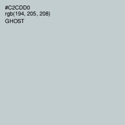 #C2CDD0 - Ghost Color Image