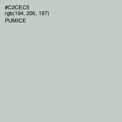 #C2CEC5 - Pumice Color Image